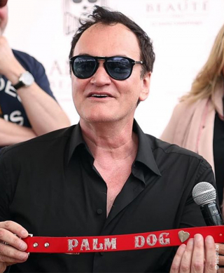 Illustration de l'article : Palm Dog 2026 : rendez-vous le 22 mai pour célébrer les 25 ans du prix dédié aux meilleures performances canines du Festival de Cannes
