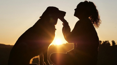 Illustration : "Bonne nouvelle pour tous les amoureux des animaux : les scientifiques annoncent qu’il sera possible de communiquer avec son chat et son chien grâce à l’intelligence artificielle"