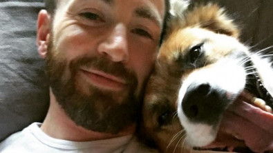 Illustration : Chris Evans : la meilleure décision qu'il ait prise de sa vie selon lui, c'est d'avoir adopté un chien !