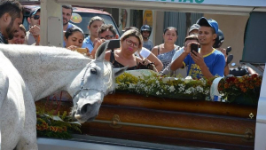 Illustration : "Le dernier hommage d'un cheval à son regretté meilleur ami laisse tout le monde en larmes"