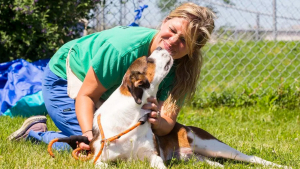 Illustration : "Après des années de loyaux services, un groupe de sauvetage de chiens de Louisiane fait sa dernière intervention"