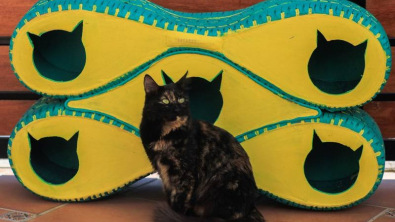 Illustration : Pour protéger les chats errants contre les intempéries, un designer fabrique des abris en recyclant des pneus