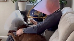Illustration : "Pour soutenir son chien opéré à l'oeil, ce propriétaire porte une collerette vétérinaire ! (Vidéo)"