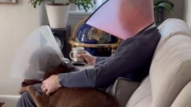 Illustration : "Pour soutenir son chien opéré à l'oeil, ce propriétaire porte une collerette vétérinaire ! (Vidéo)"