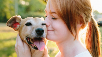 Illustration : Un Français sur 2 emmène son chien en vacances : quelle solution pour ceux qui ne peuvent le faire ?