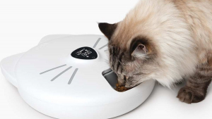 Illustration : "Pixi de Catit : un distributeur intelligent et connecté pour programmer facilement les repas de son chat"