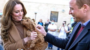 Illustration : "Un chien de thérapie conquiert le cœur du prince William et de sa femme Kate lors d'une visite royale !"