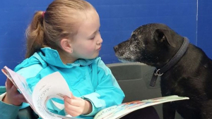 Illustration : "Passionnée par les animaux, cette fillette réconforte les chats et les chiens de refuge en leur lisant des histoires"