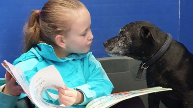 Illustration : "Passionnée par les animaux, cette fillette réconforte les chats et les chiens de refuge en leur lisant des histoires"
