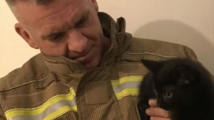 Illustration : "Les pompiers interviennent en pleine nuit pour secourir un chaton coincé derrière les murs de sa nouvelle maison !"