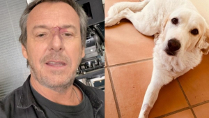 Illustration : "L'animateur Jean-Luc Reichmann sensibilise le public contre l'abandon grâce à une photo de sa chienne amputée"