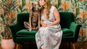 Illustration : "L'amour entre un chien et son maître immortalisé à travers une série de portraits atypiques"