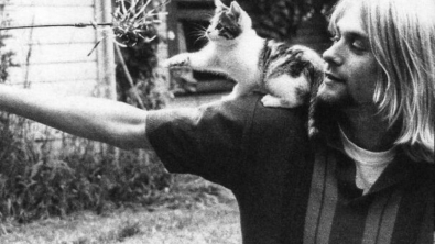 Illustration : "La magnifique collection de 20 anciennes photos de chats aux côtés de célébrités"