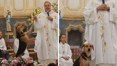Illustration : "Chaque dimanche, ce prêtre, au dévouement incomparable pour les chiens errants, a un rituel bien à lui"