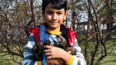 Illustration : "Un enfant se rend chez un fermier et demande à adopter l’un de ses chiots, handicapé, pour une bonne raison"