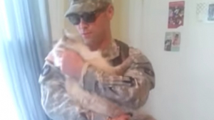 Illustration : "Les retrouvailles pleines d'émotion entre un chat et son maître soldat revenant d'un long déploiement (vidéo)"