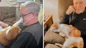 Illustration : "Un chat prend soin de son grand-père qui se bat contre le cancer"