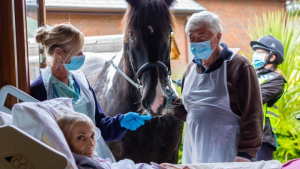 Illustration : "Une femme en phase terminale fait ses adieux à son cheval et ses 2 chiens depuis son lit d’hôpital (vidéo)"