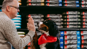 Illustration : "Champion Petfoods, des aliments premium biologiquement appropriés aux animaux de compagnie, créés par et pour les pet lovers"