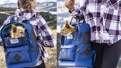 Illustration : "Nomad de Kurgo : un sac de transport malin et pratique pour des activités en plein air réussies avec son animal de compagnie"