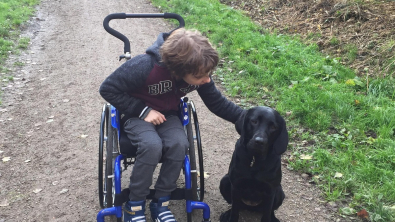 Illustration : "19 photos de chiens qui ont pour mission de changer la vie des humains"