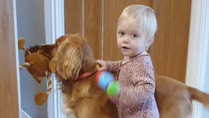 Illustration : "Une petite fille apprend à marcher grâce à l’aide de son meilleur ami canin"