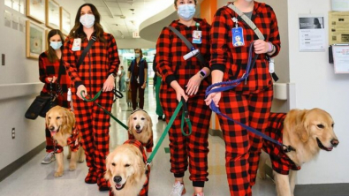 Illustration : "10 photos de chiens rendant visite aux enfants hospitalisés à Noël et qui font chaud au cœur"