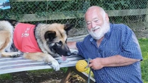 Illustration : "Vidéo : Contraint d’abandonner sa chienne après un AVC, ce retraité retrouve sa joie en rencontrant un Berger Allemand de thérapie"