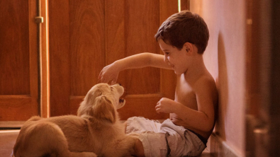 Illustration : "16 photos racontant la merveilleuse complicité unissant un garçon et sa chienne Golden Retriever"