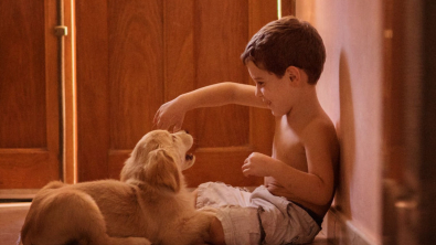 Illustration : 16 photos racontant la merveilleuse complicité unissant un garçon et sa chienne Golden Retriever