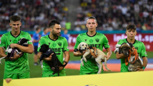 Illustration : "Des footballeurs roumains s’engagent contre l’abandon des animaux pendant un match"