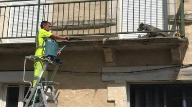 Illustration : "Enfermé sur un balcon, en plein soleil, ce chien va attirer l’attention des riverains"