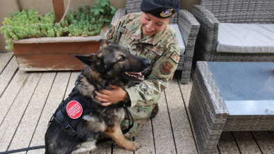 Illustration : "Un chien militaire entame une retraite bien méritée aux côtés de son ancienne maîtresse (vidéo)"