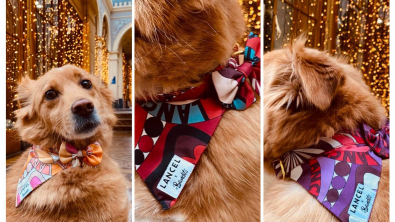 Illustration : Avec French Bandit et Lancel, offrez un bandana ultra stylé à votre animal pour les fêtes de Noël !