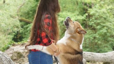 Illustration : "Sa passion pour les chiens, Sandra en a fait son métier et la met au service des maîtres en difficulté"