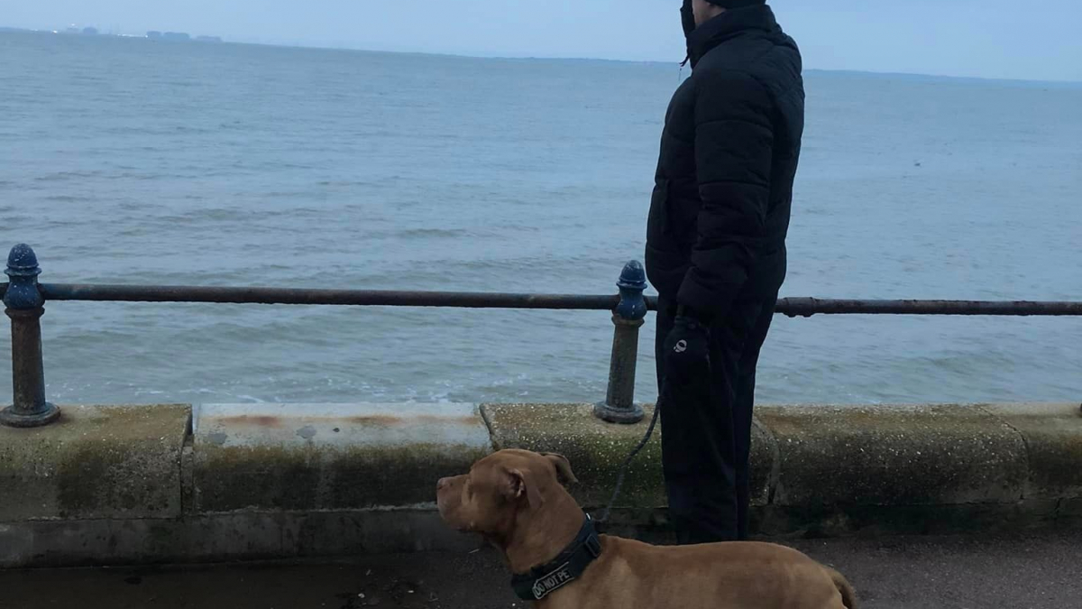 Après avoir sauvé la vie d’un chien abandonné, un Anglais s’engage corps et âme pour aider les