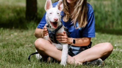 Illustration : Faire adopter ce chien sourd semblait impossible, mais sa mère d’accueil lui a appris la langue des signes pour l’y aider