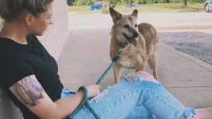 Illustration : "Une femme se mobilise pour adopter un chien de 19 ans, qui devait terminer sa vie dans un refuge"