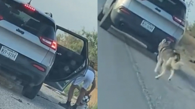 Illustration : "Flagrant délit d’abandon : une automobiliste filme un homme en train d’abandonner son Husky au bord de la route (vidéo)"