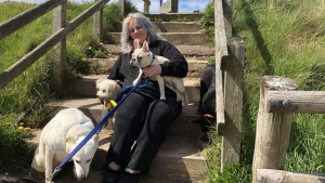 Illustration : "Après avoir sauvé plus de 500 chiens handicapés, cette femme souhaite ouvrir un centre de réadaptation et d’adoption"