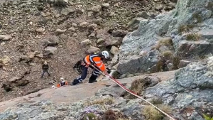 Illustration : "Des secouristes effectuent une opération risquée pour tenter de sauver un chien tombé d'une falaise"
