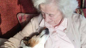 Illustration : "À 96 ans, cette dame choisit de sauver un Jack Russell de 17 ans pour lui offrir une belle fin de vie"