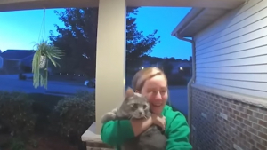 Illustration : "Un chat rentre à la maison après avoir disparu : le visiophone du foyer capture ses retrouvailles avec sa maîtresse (vidéo)"