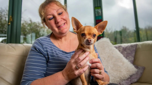 Illustration : "Par amour pour son chien, elle vend sa voiture et finance sa lourde opération du cœur"