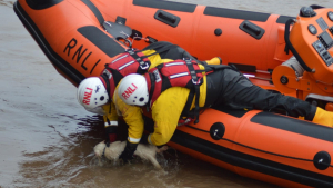 Illustration : "Des sauveteurs en mer viennent en aide à un félin tombé dans une rivière et glacé"