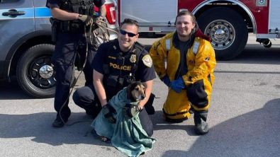 Illustration : "Un chien se retrouve pris au piège d’un canal et s’en sort grâce à l’intervention des pompiers"