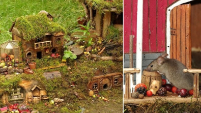 Illustration : Cet homme fabrique de minuscules maisons de Hobbits pour accueillir des souris sauvages