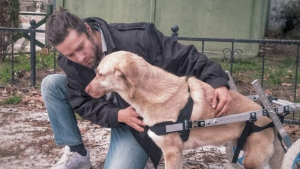 Illustration : "Promis à une belle carrière dans le mannequinat, cet homme a tout plaqué pour s’occuper des animaux errants"