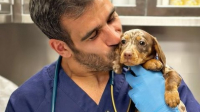 Illustration : "L'astuce de ce vétérinaire pour vacciner les chiens sans qu'ils n'en souffrent est aussi adorable qu'efficace"