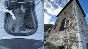 Illustration : "Un chat se retrouve coincé pendant 3 jours dans un monument historique, dont l’intérieur est impraticable"